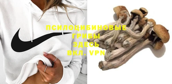 дмт Арсеньев